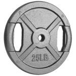 Meilleur guide d'achat de plaques de poids pour propriétaires de gymnases en 2021 5 plaque de poids en fonte