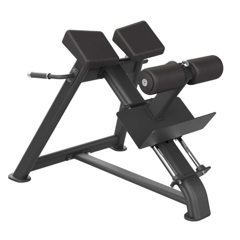 Adjustable Roman Bench 2 Adjustable Roman Bench 2