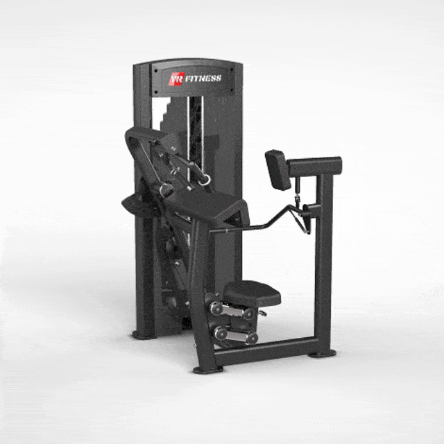 Triceps Extension