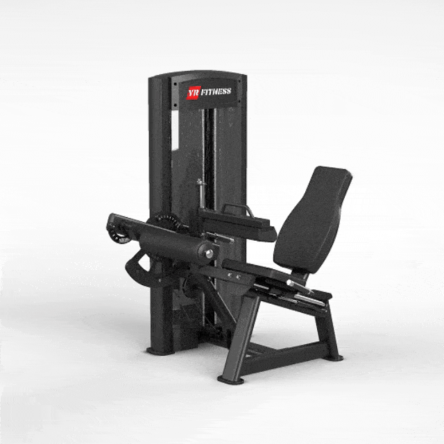 Seated Leg Curl