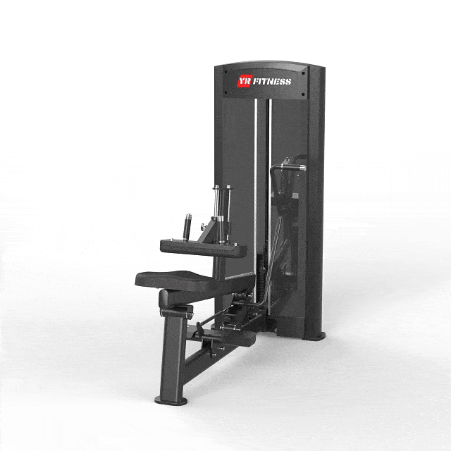 Seated Calf