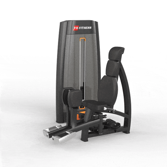 Hip Adduction
