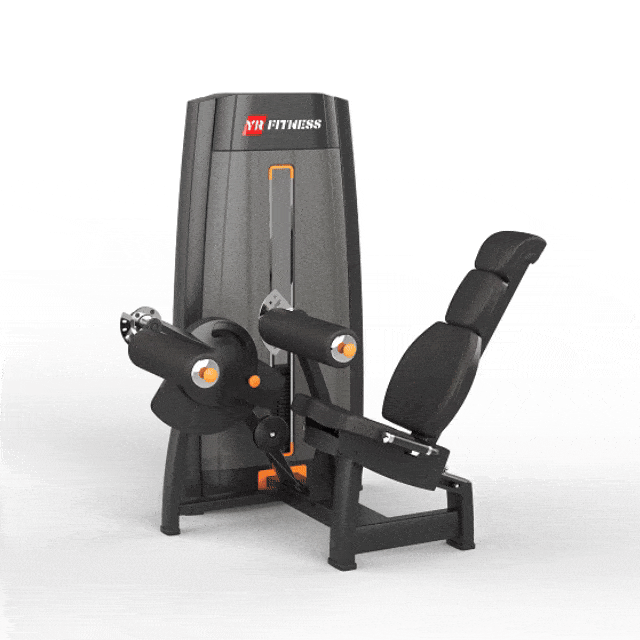 Seated Leg Curl