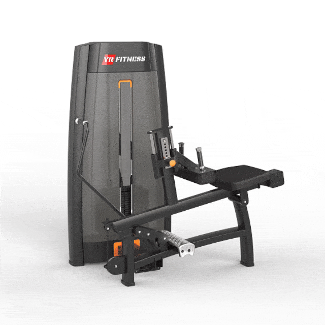 Seated Calf