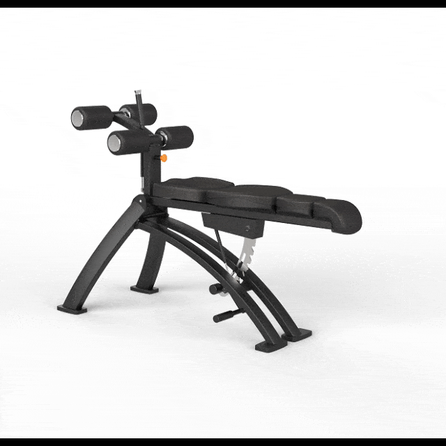 Adjustable Ab Board