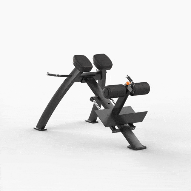 Adjustable Roman Bench