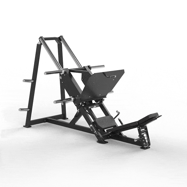 Linear Leg Press