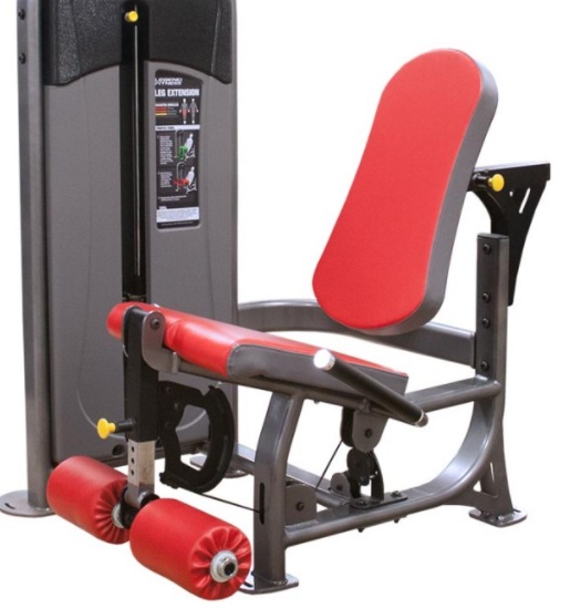 Leg Extension Machine 22