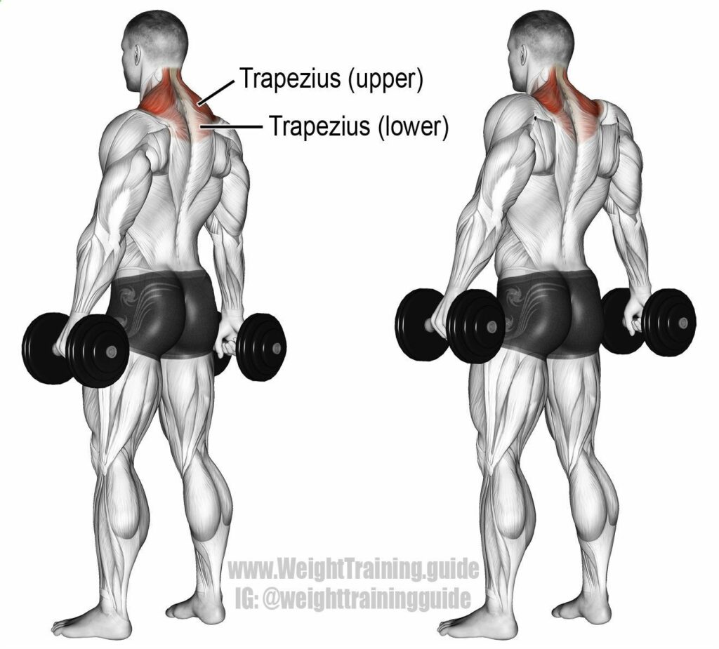 Trap Shrug Machine 1
