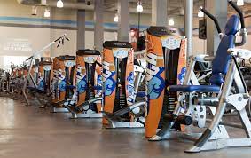 Best Franchise Gyms If You Want to Start Small 15 Best Franchise Gyms If You Want to Start Small 15