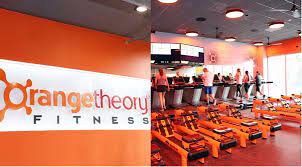 Best Franchise Gyms If You Want to Start Small 16 Best Franchise Gyms If You Want to Start Small 16
