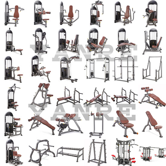 Commercial Exercise Equipment 5 Commercial Exercise Equipment 5