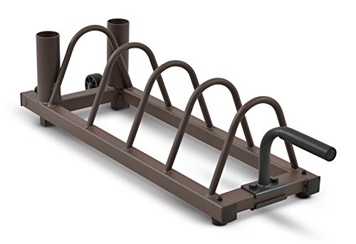 Gym Plate Rack 14