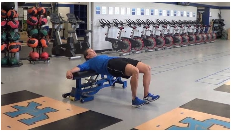 Plate Loaded Hip Thrust Machine – The Definitive FAQ Guide 13 Plate Loaded Hip Thrust Machine – The Definitive FAQ Guide 13