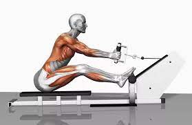 5 in 1 Gym Equipment 22 5 in 1 Gym Equipment 22