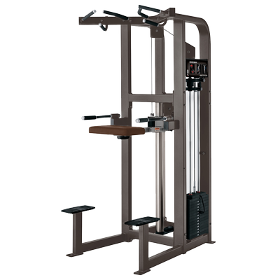 Hammer Strength Pull Up 7 Hammer Strength Pull Up 7