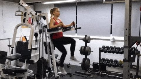 Leg Raise Machine 1 Leg Raise Machine 1
