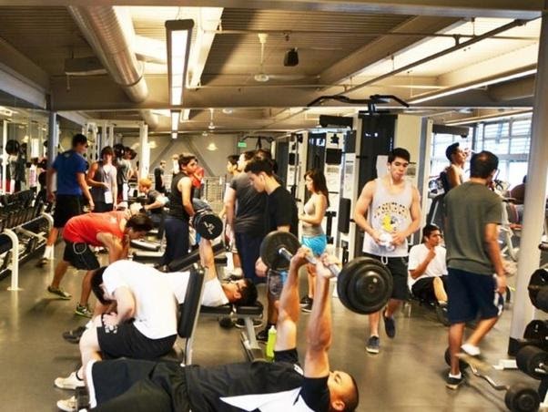 What it Takes to Create a Functional Yet Stunning Gym Layout 6 What it Takes to Create a Functional Yet Stunning Gym Layout 5
