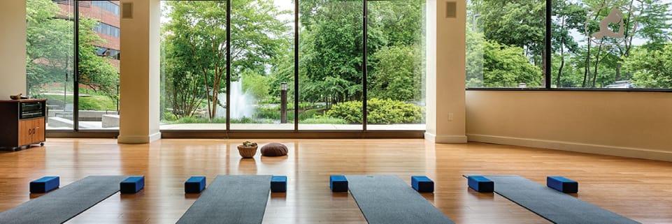 Wholesale Yoga Studio - The Definitive FAQ Guide 10 Wholesale Yoga Studio - The Definitive FAQ Guide 10