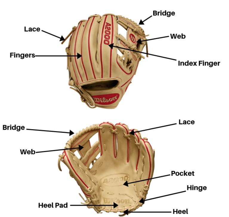 The Ultimate Guide on Baseball Glove Manufacturers 7