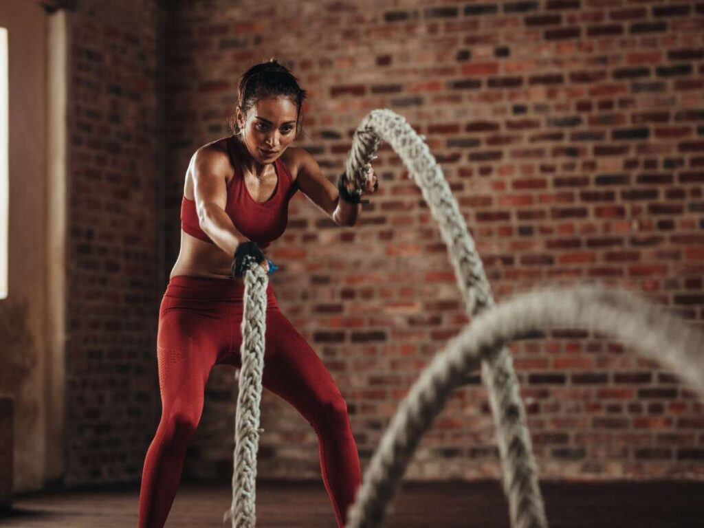 Your Go-To Gym Equipment List For All Fitness Levels 5 Your Go-To Gym Equipment List For All Fitness Levels 5