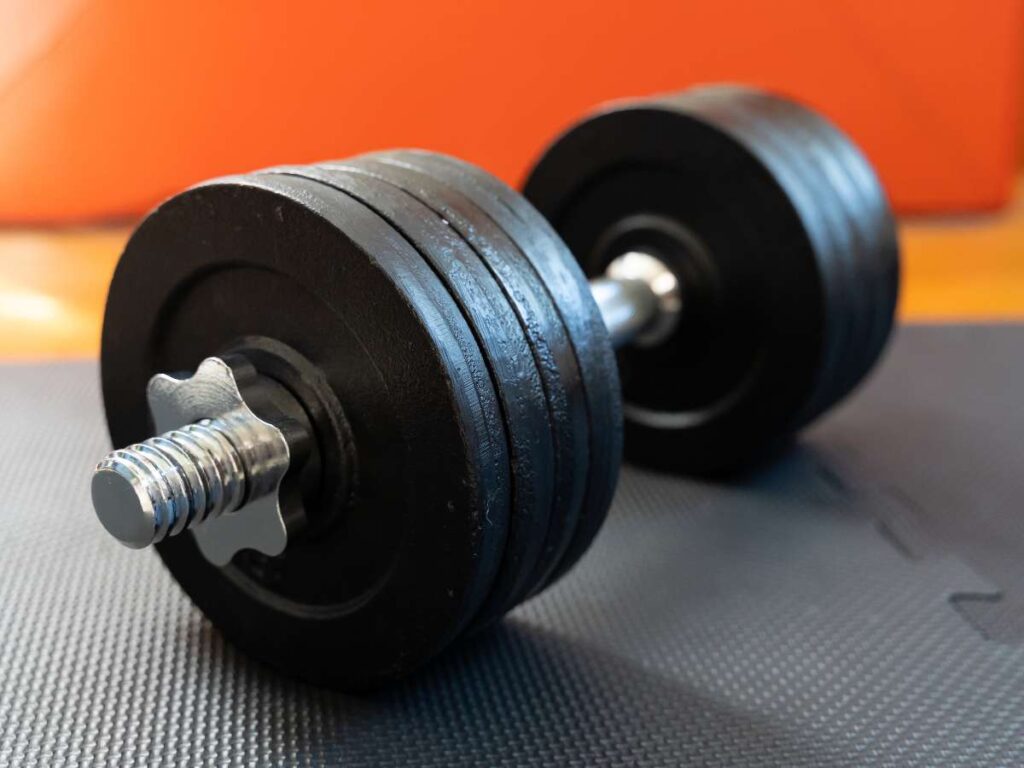 Your Go-To Gym Equipment List For All Fitness Levels 8 Your Go-To Gym Equipment List For All Fitness Levels 8