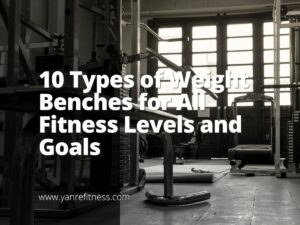 10 Types of Weight Benches for All Fitness Levels and Goals 7