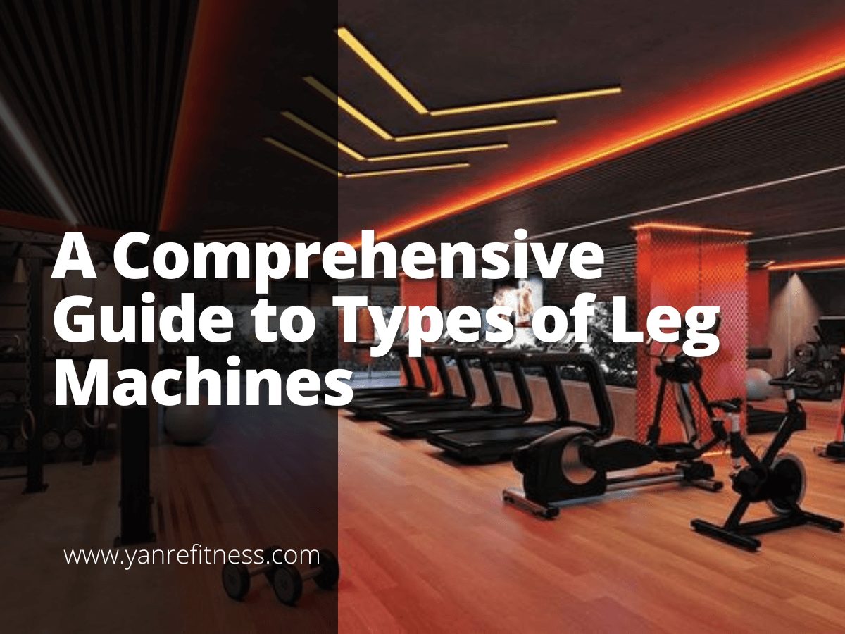 Una guía completa sobre los tipos de máquinas para piernas 1