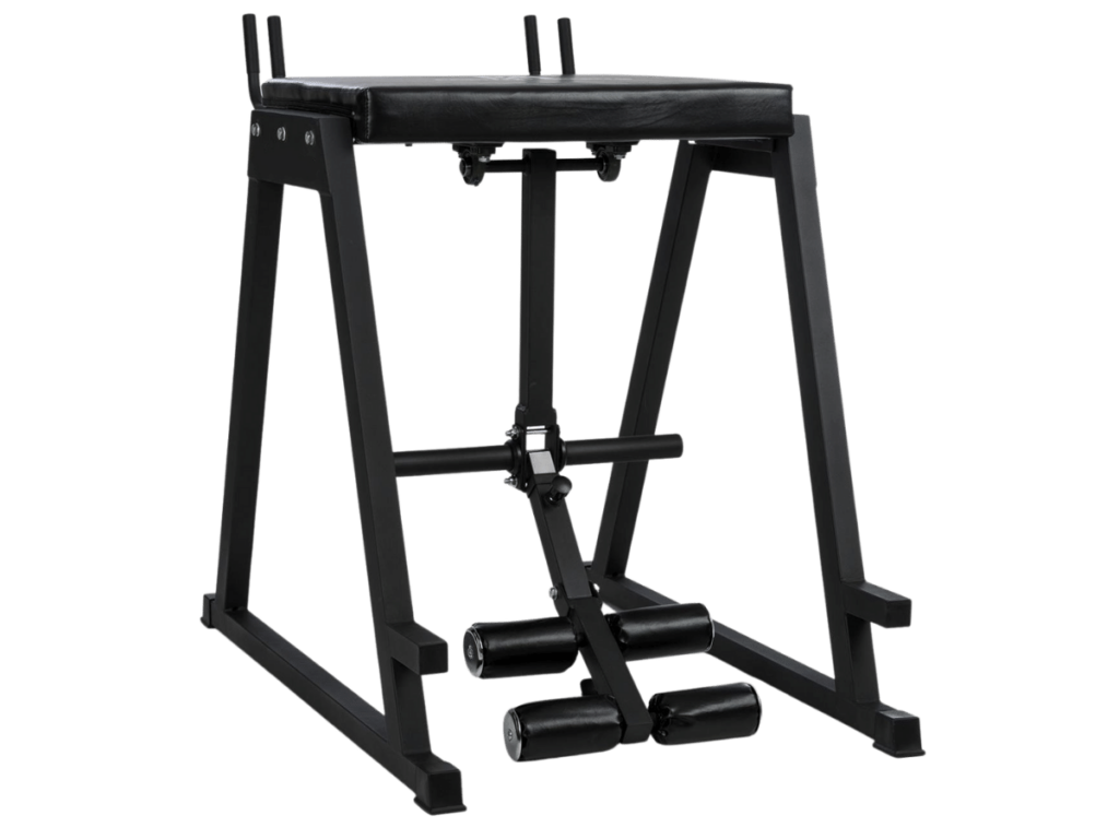 Commercial Back Extension Machine 12