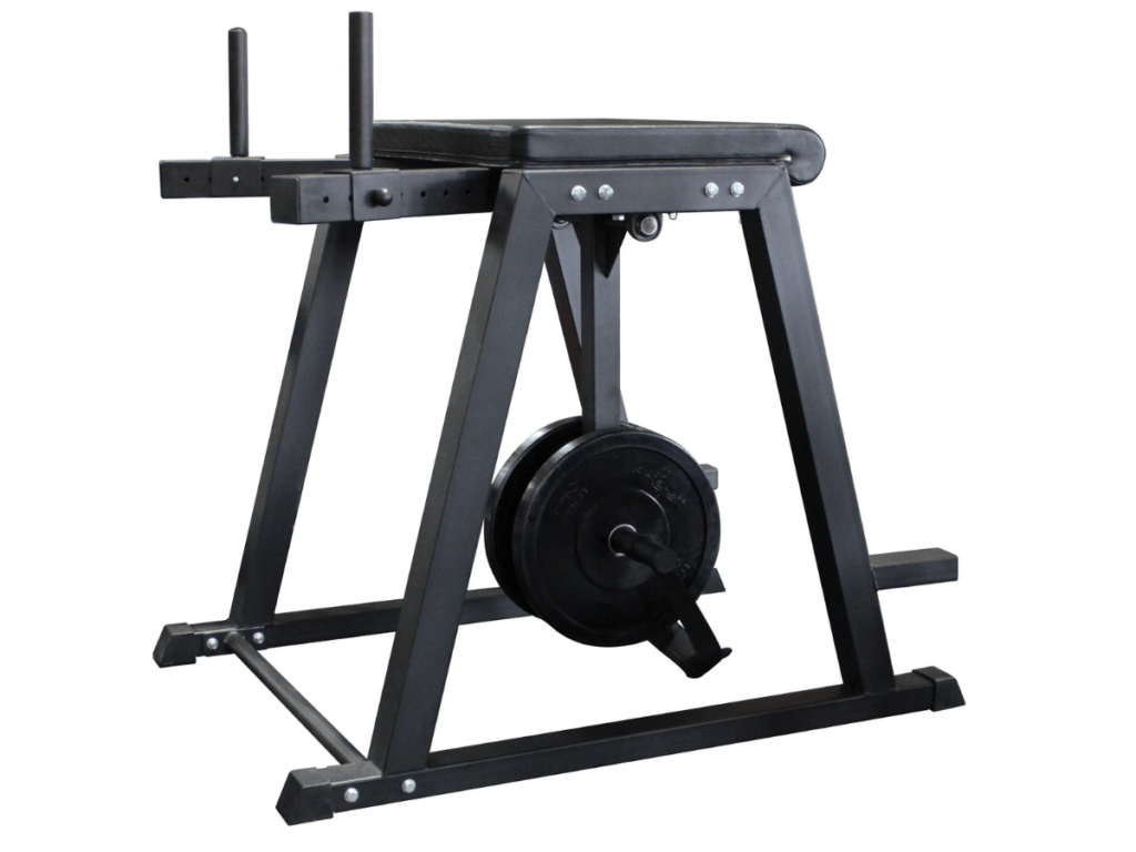 Commercial Back Extension Machine 17