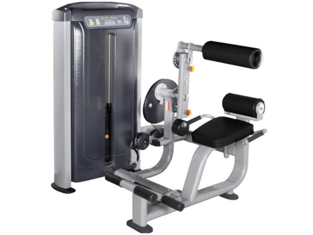 Commercial Back Extension Machine 19