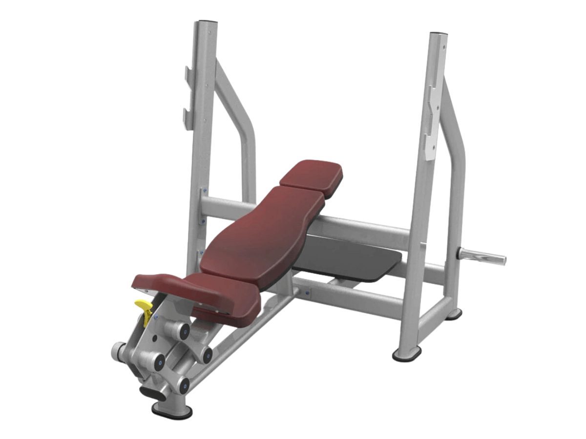 Commercial Plate Loaded Gym Equipment Definitive FAQ Guide