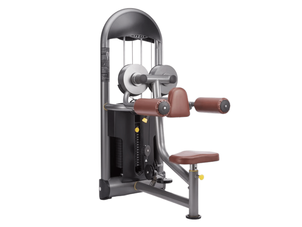 Commercial Lateral Raise Machine 14