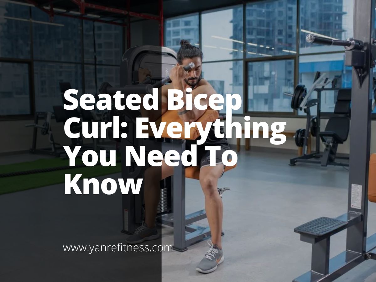 Seated Bicep Curl: Everything You Need To Know 1