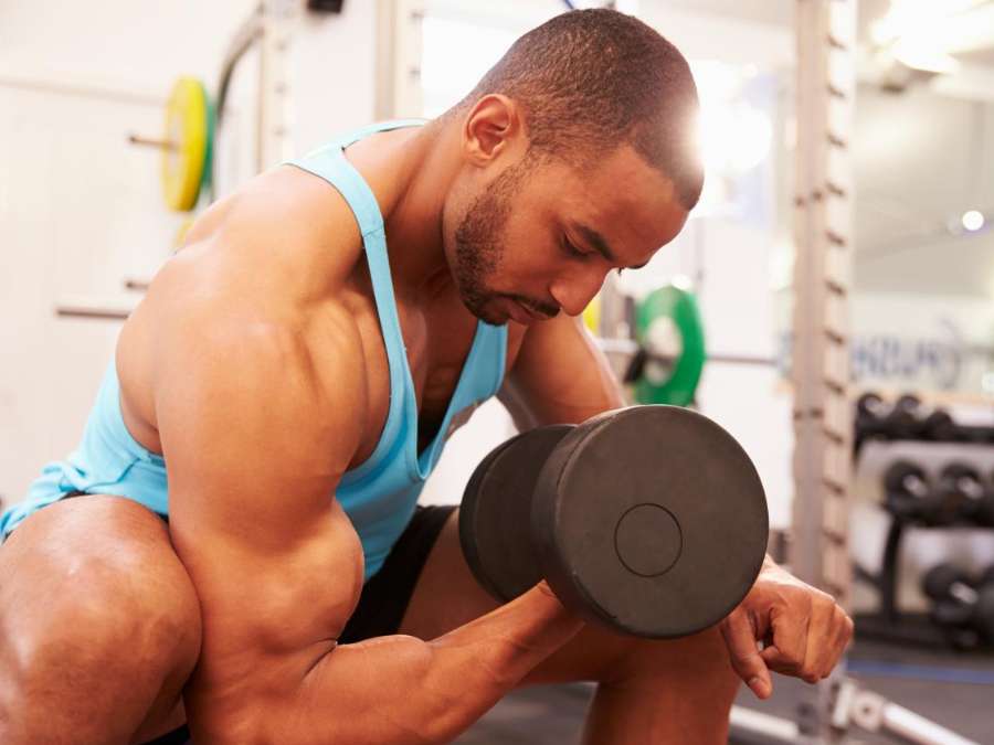 The Ultimate Guide To Seated Bicep Curl 2