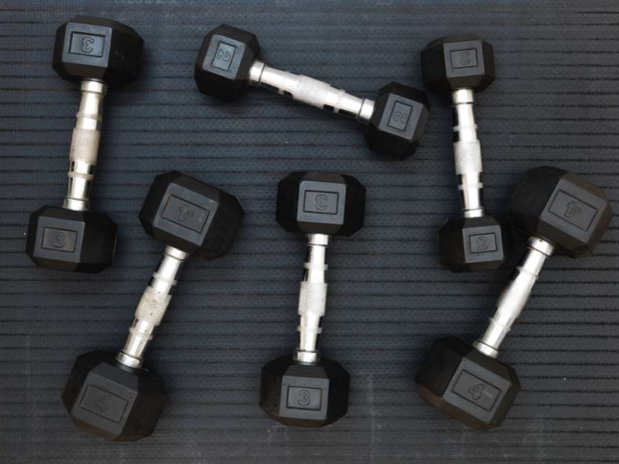 The Ultimate Guide To Seated Bicep Curl 3