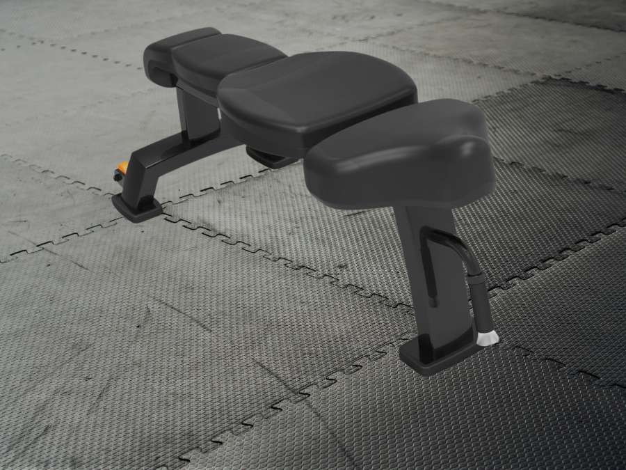 The Ultimate Guide To Seated Bicep Curl 4