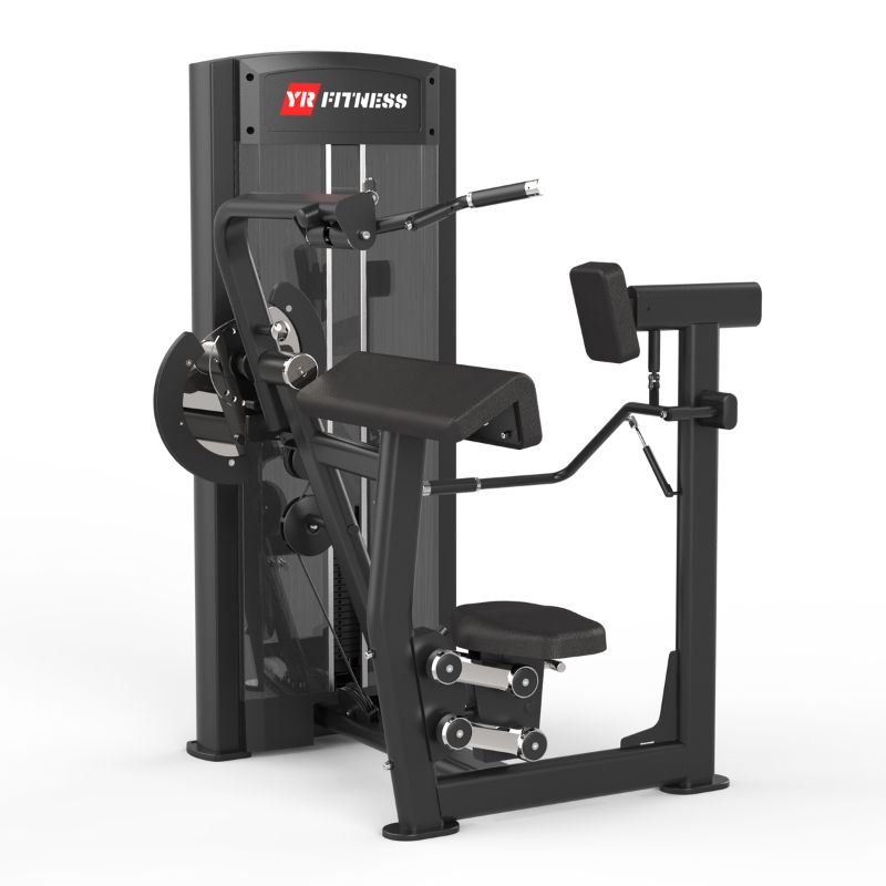 Biceps / Triceps 2 Biceps / Triceps 2