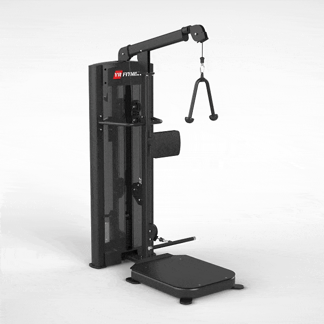 Standing Biceps / Triceps