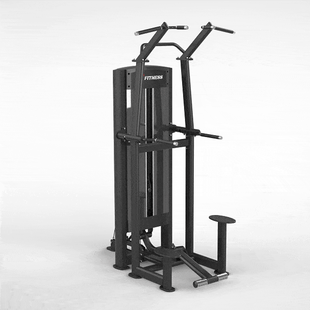 Assisted Dip / Chin Up