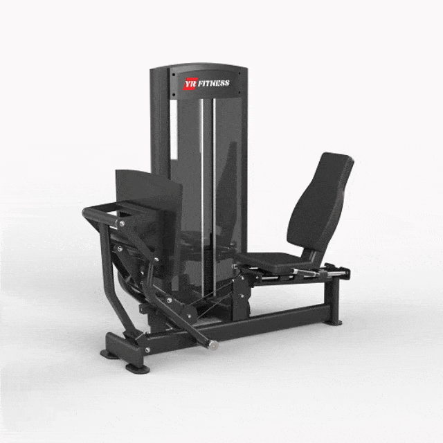Leg Press / Calf