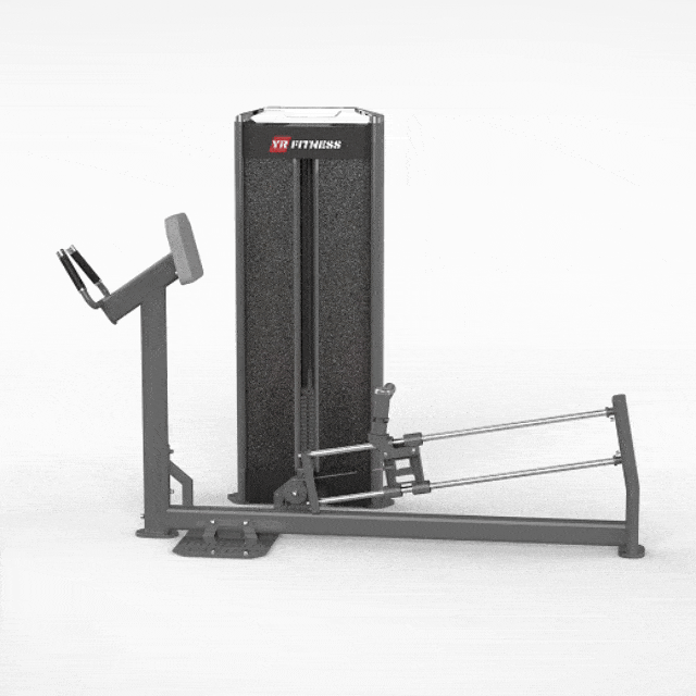 Gluteus Maximus Trainer
