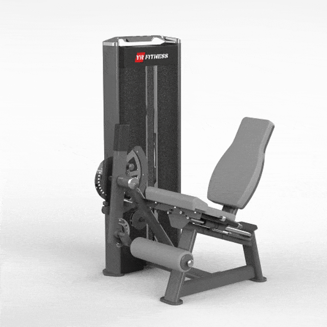 Leg Extension
