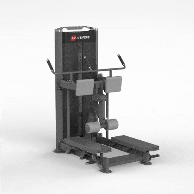 Seated Leg Curl