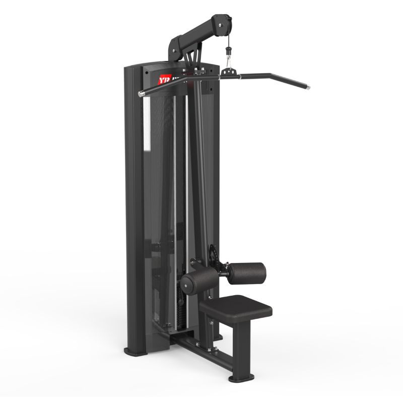 Lat Pull Down 2 Lat Pull Down 2