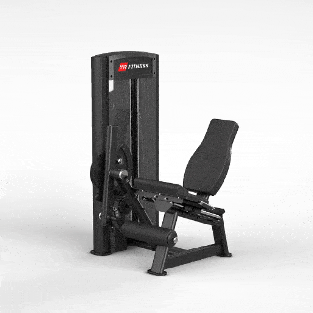Leg Extension 1 Leg Extension 1