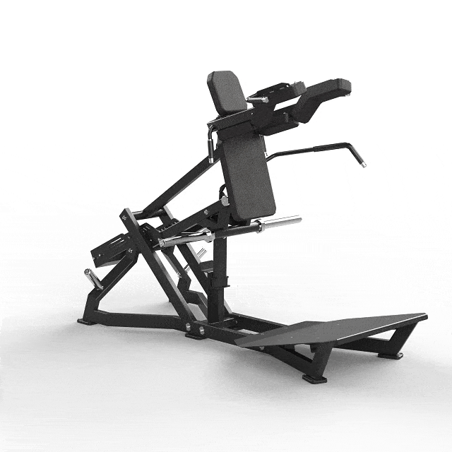 Plate Loaded V Squat