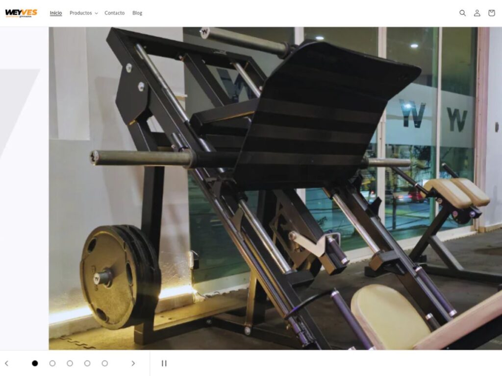 Top 7 Gym Equipment Manufacturers In Mexico 5 Top 7 Gym Equipment Manufacturers In Mexico 5