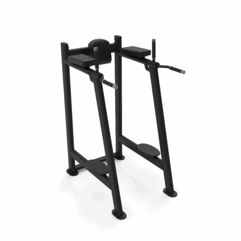 Vertical Knee Raise 1