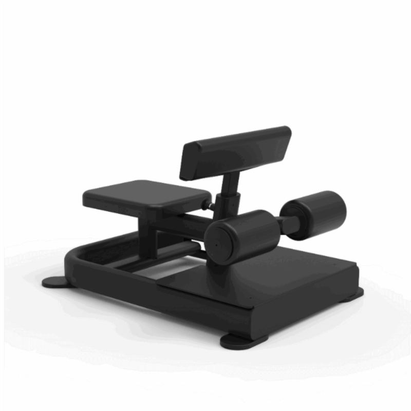 Sissy Squat Combination Trainer